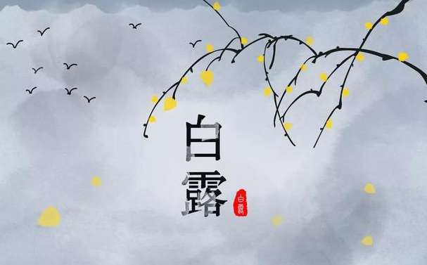 今迎白露，盛夏退场-香蕉视频APP破解版香蕉视频黄下载机